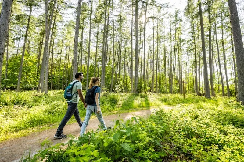 Visitatori dell'ambiente naturale
