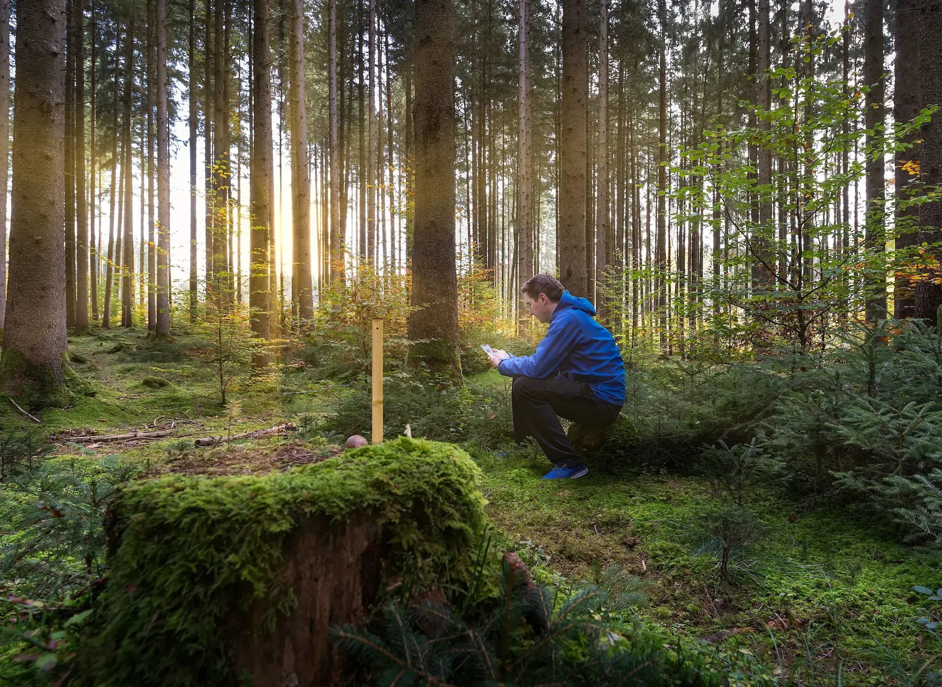 ECO_LINK_PALO_DI_LEGNO_EVO-1