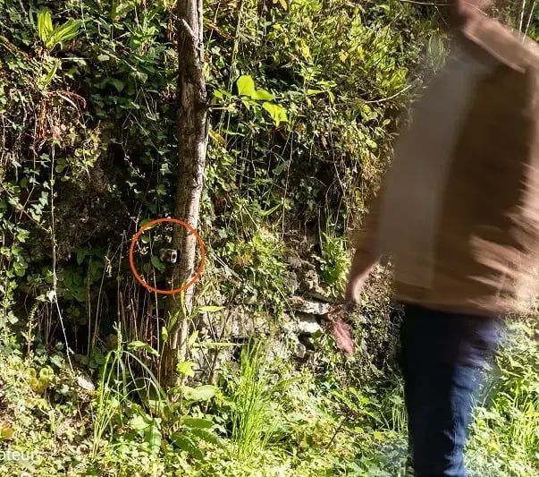 Rilevando le variazioni di calore, PYRO Nano conta i visitatori.